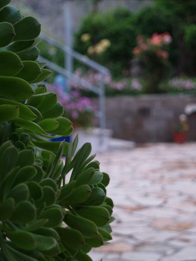 La Casa Di Nonna Apartment เคพาโร ภายนอก รูปภาพ
